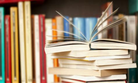 What Are Trade Books: A Diverse Insight into the Publishing Industry